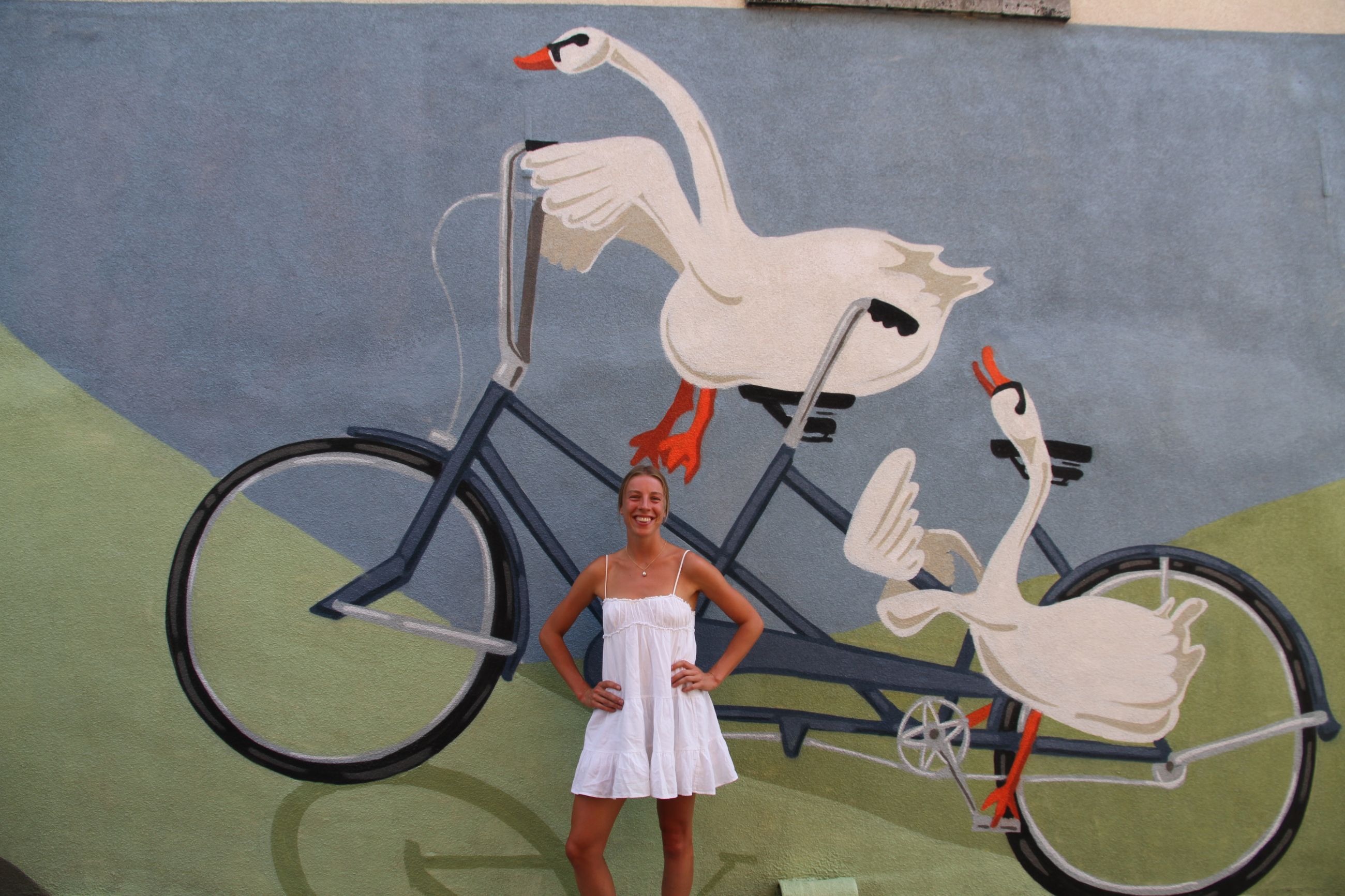 Zwaan Germaine op de fiets in Oude Godstraat