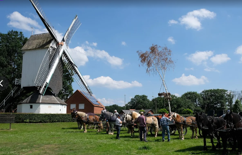 Kaastrooimolen gerestaureerd in stijl