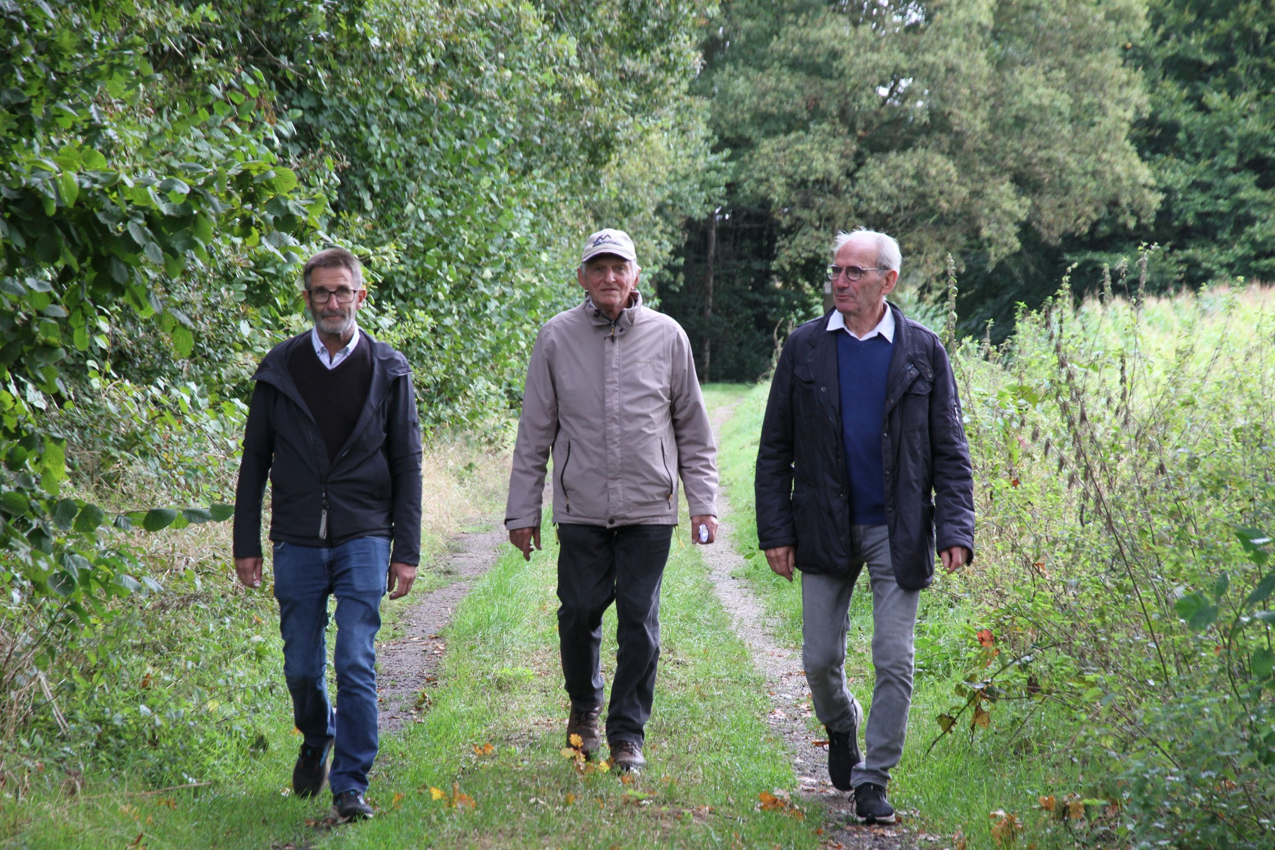 Wandelen over de Saffraanberg
