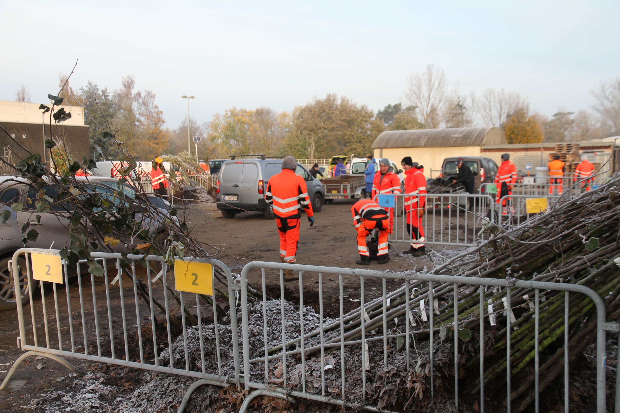 Heistenaars krijgen meer dan 1500 gratis bomen