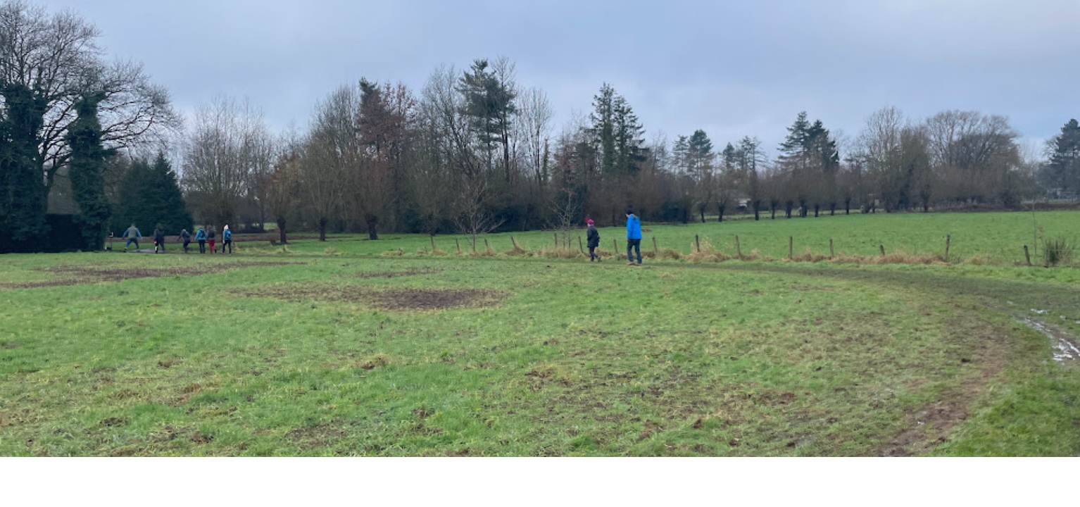 Wandelen tussen weiden en witloofvelden