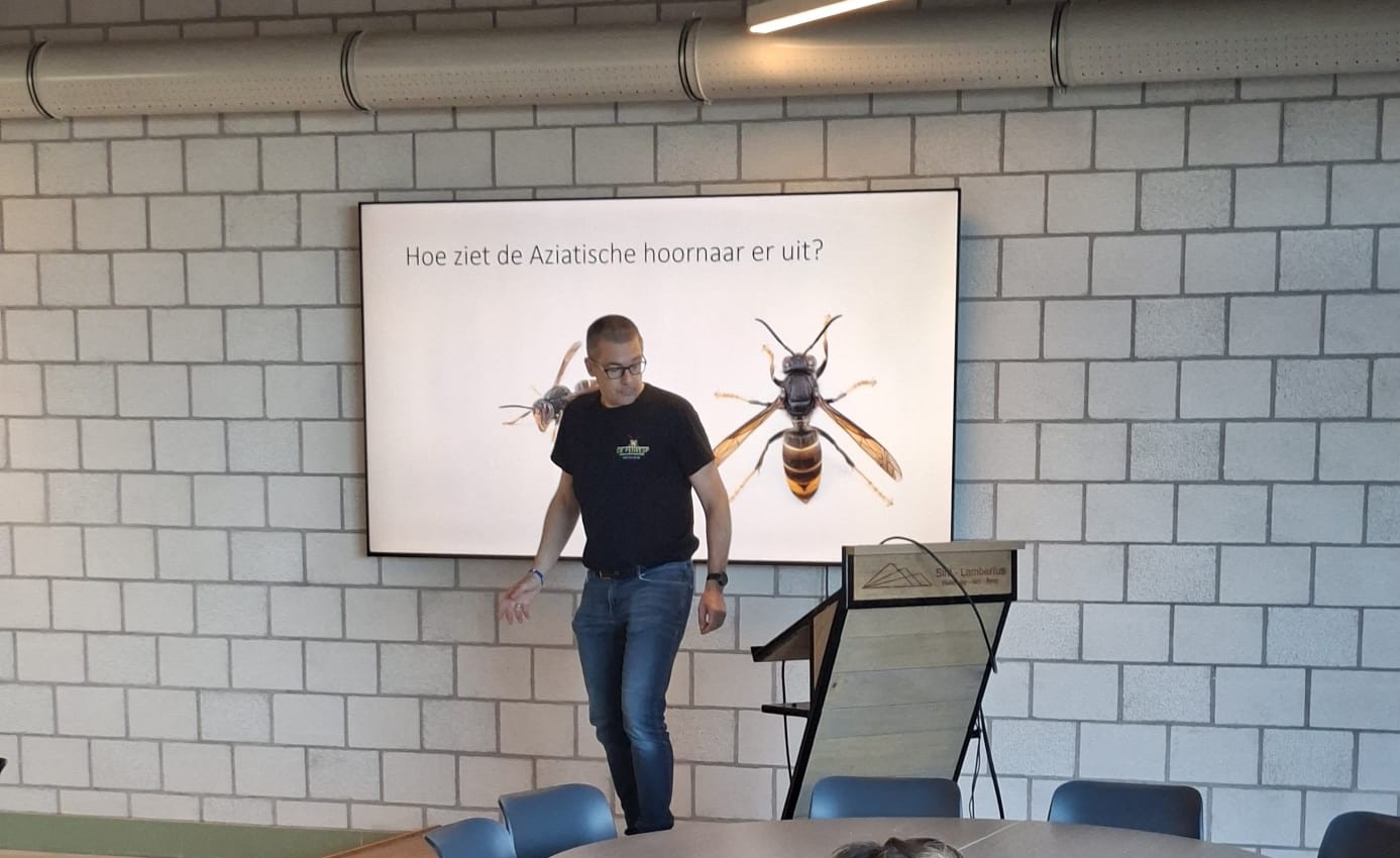 Heistse imkers bang van opmars Aziatische hoornaars