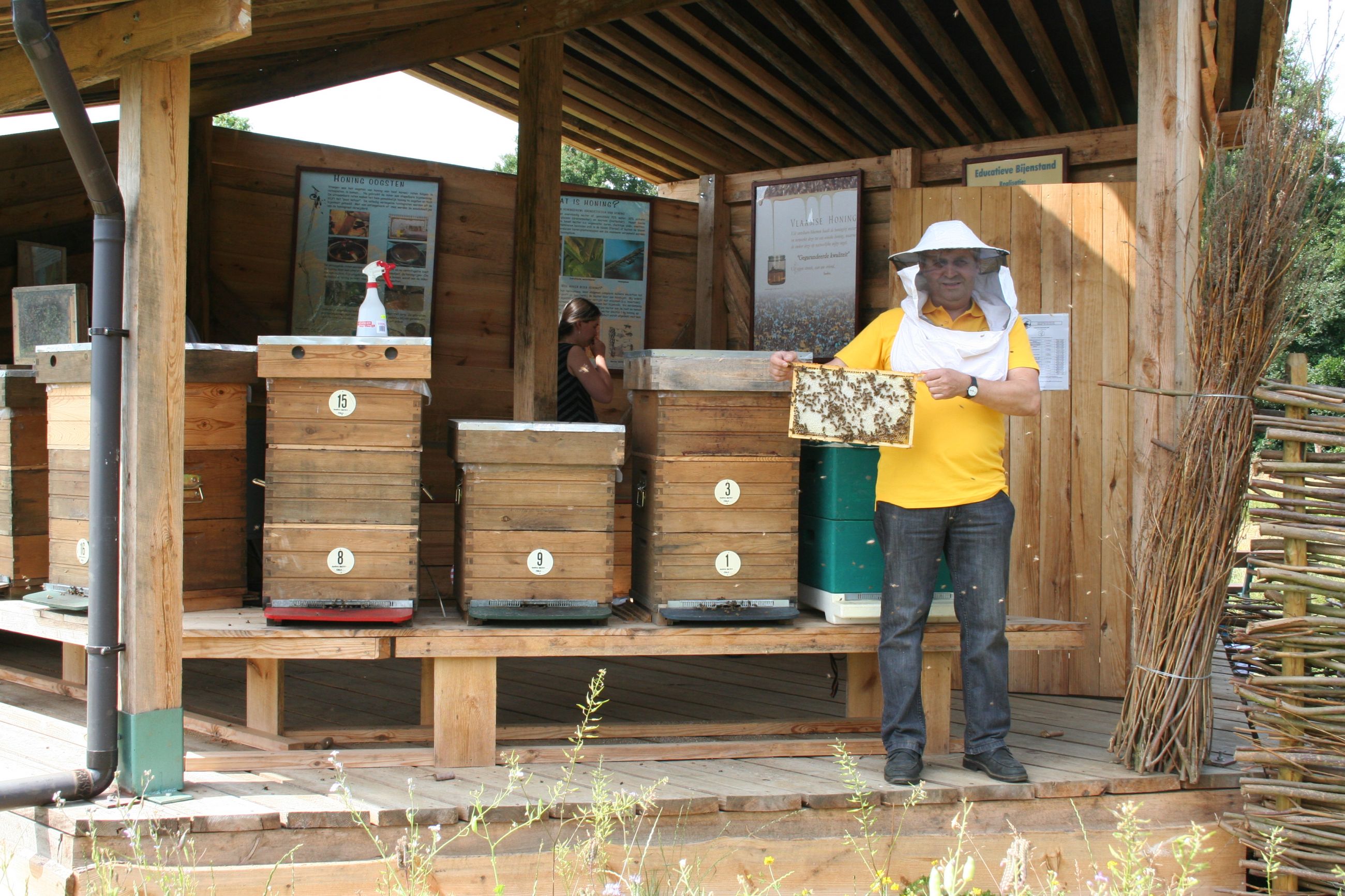 Voor de bloemen en de bijtjes