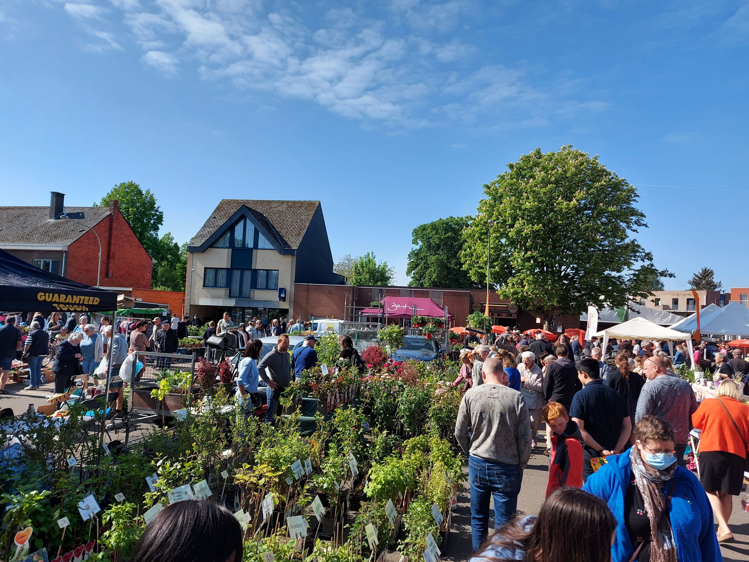 De ijsheiligen komen, alle plantjes mogen buiten